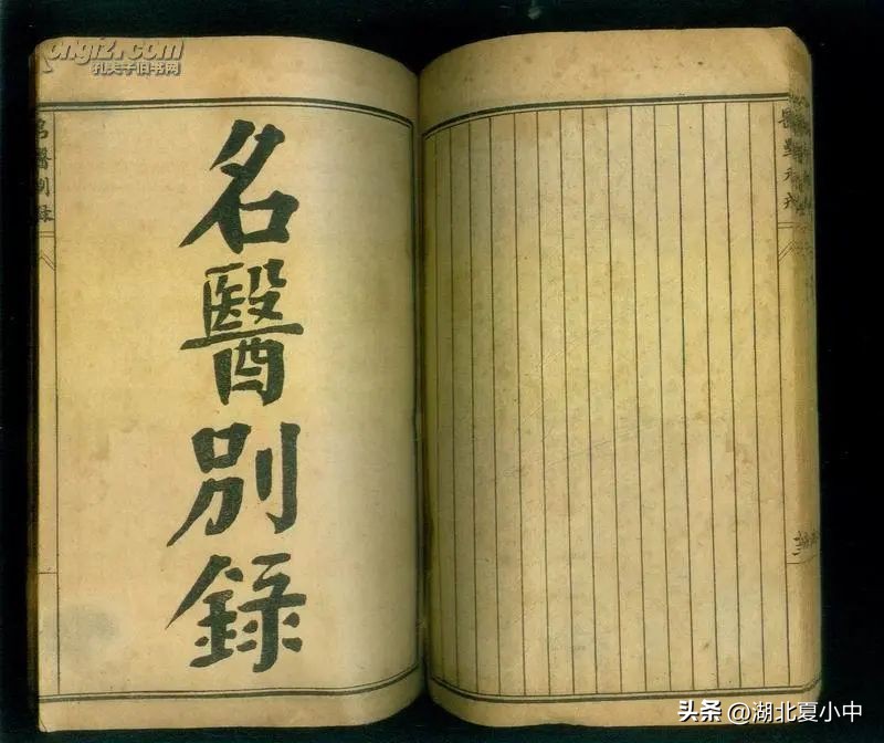 夏天清热解毒、疏风散热必备——金银花