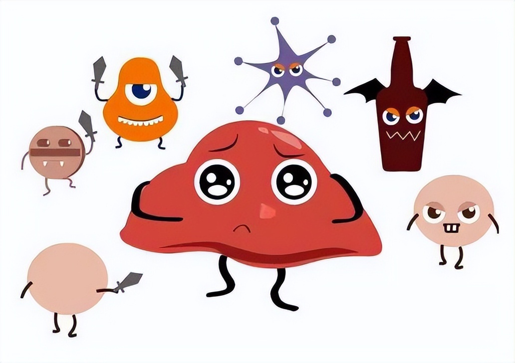 肝囊肿中药咋调理好呢,肝囊肿怎么补肾