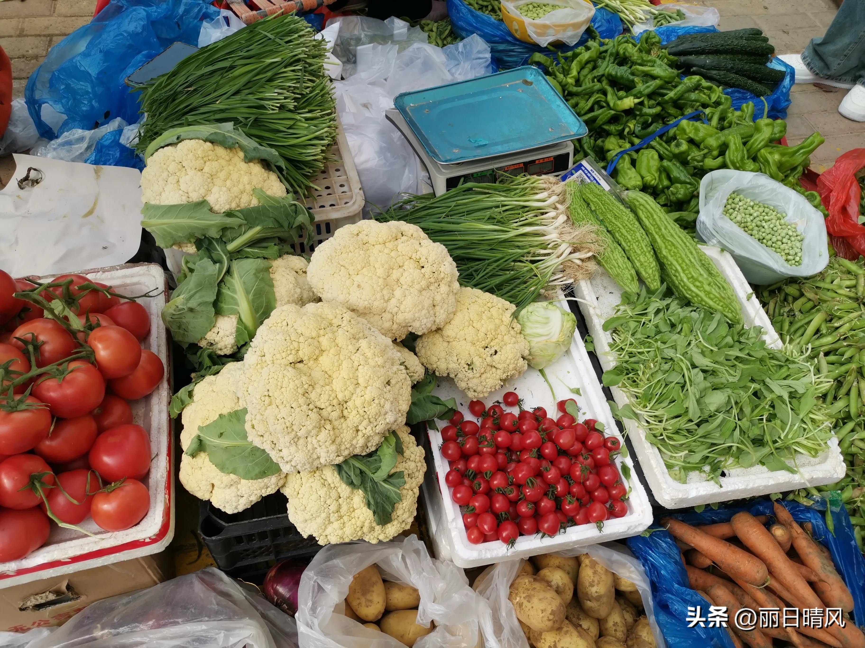 我的退休慢生活,我的退休生活该何去何从