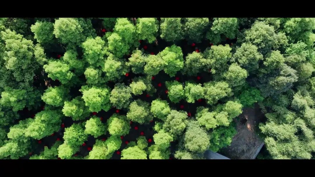 再就业男团四川,再就业男团来贵州