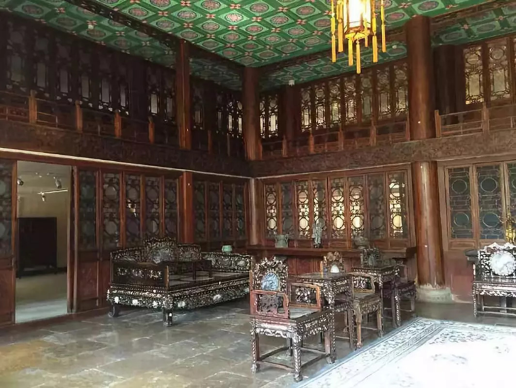 金丝楠木有多贵树苗才12元一棵,金丝楠木树一棵苗多少价格