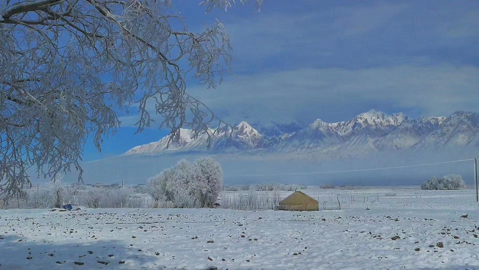 2023理想销量目标,2023空调销售