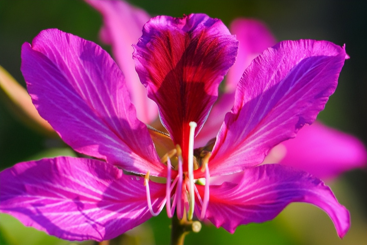 男友一直保证会和我在一起，但是见到我姐姐后，把我甩了
