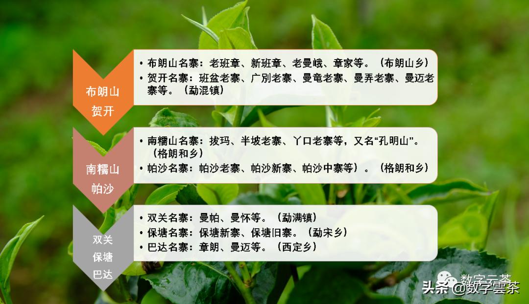 西双版纳普洱茶区,探秘普洱茶的天堂西双版纳