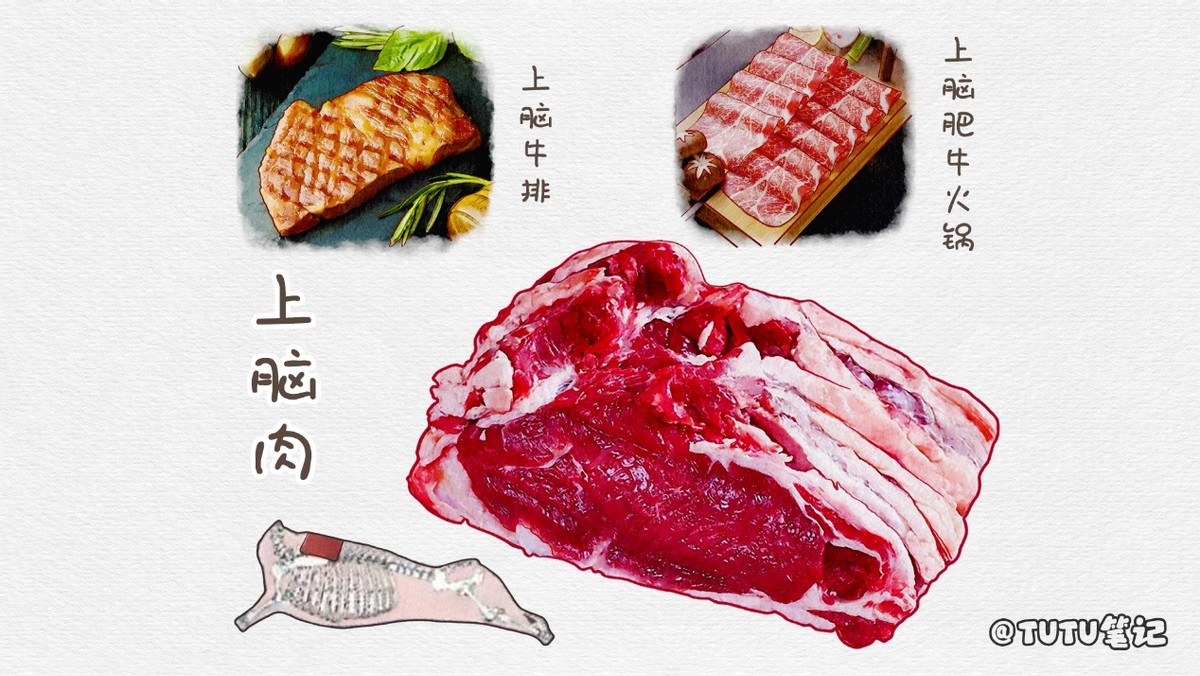 市面上的牛肉太多了怎样挑选牛肉,比较好吃的牛肉品种