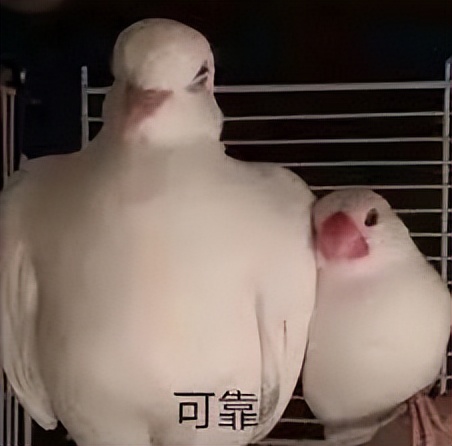 为什么会有花柳病,解密花柳病