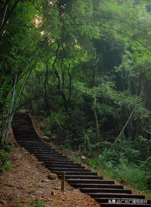 广州夏日避暑指南,广州夏日避暑胜地室内