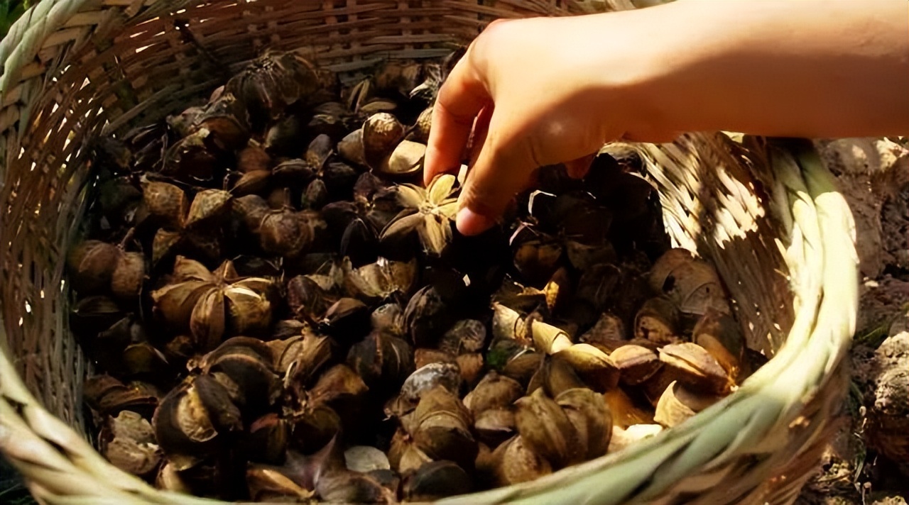 不出国门就能品尝世界各地的小吃,不出国门吃遍世界美食