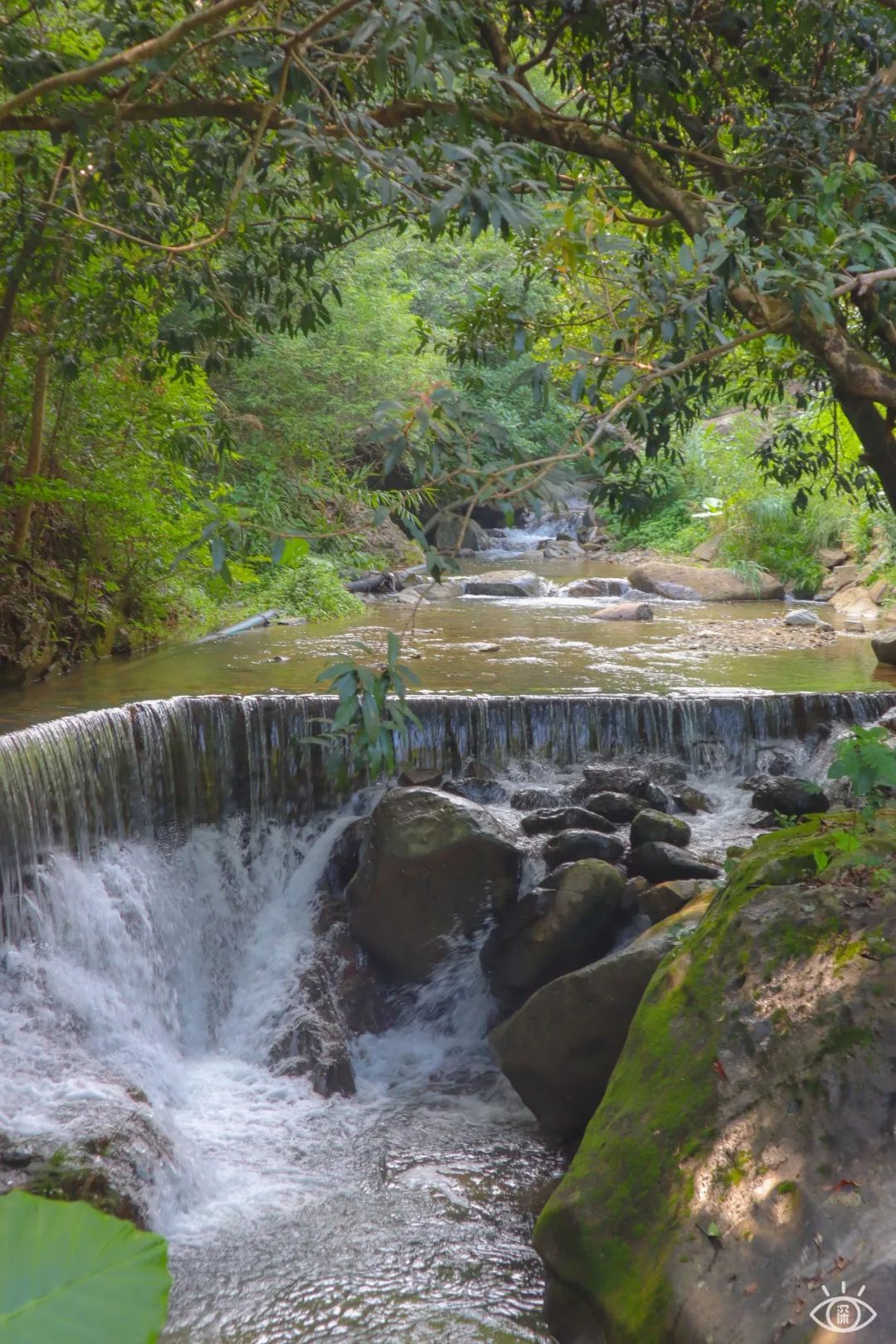 广东深圳避暑好去处,深圳夏天哪里度假避暑最好