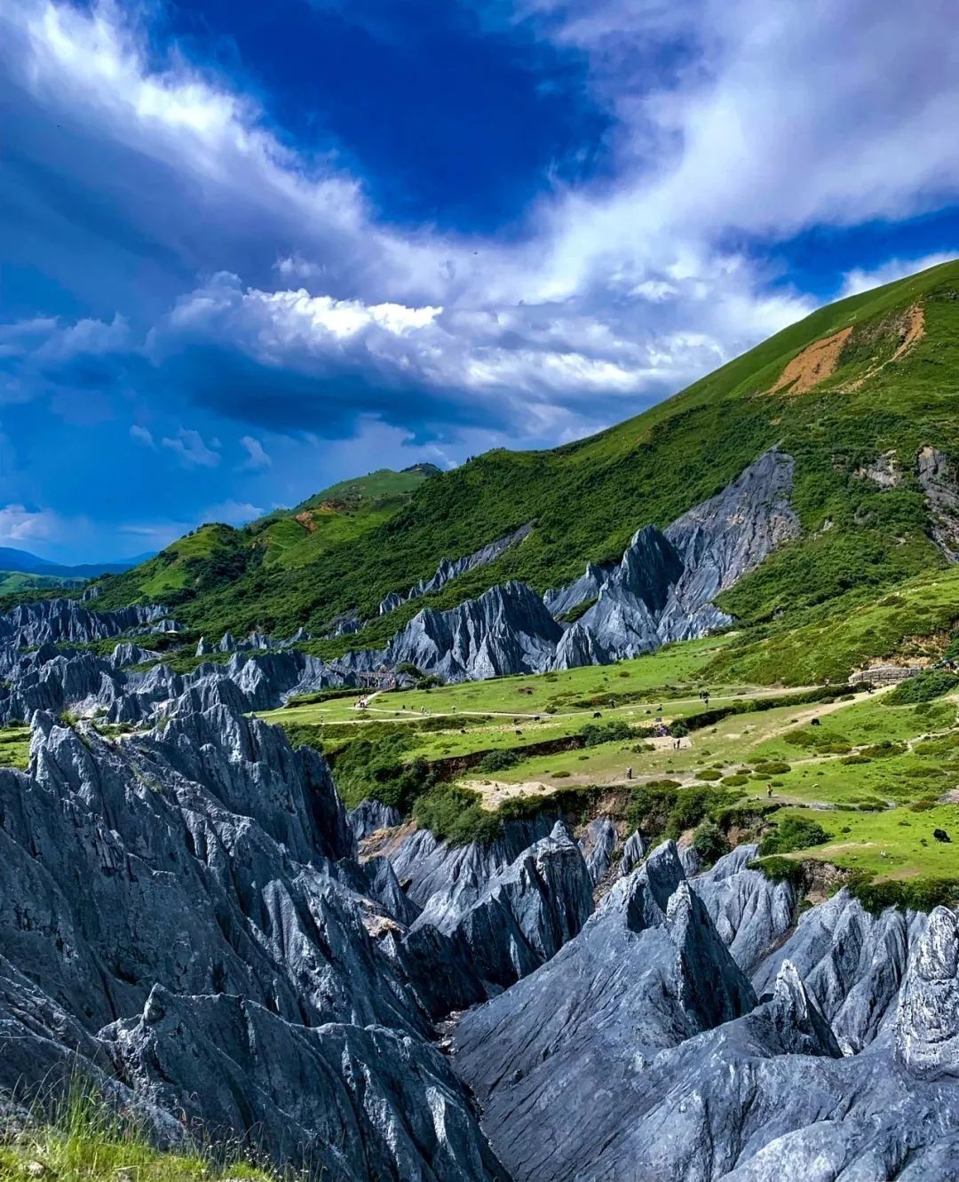 火出圈啦,甘孜文旅局长化身侠客火出圈