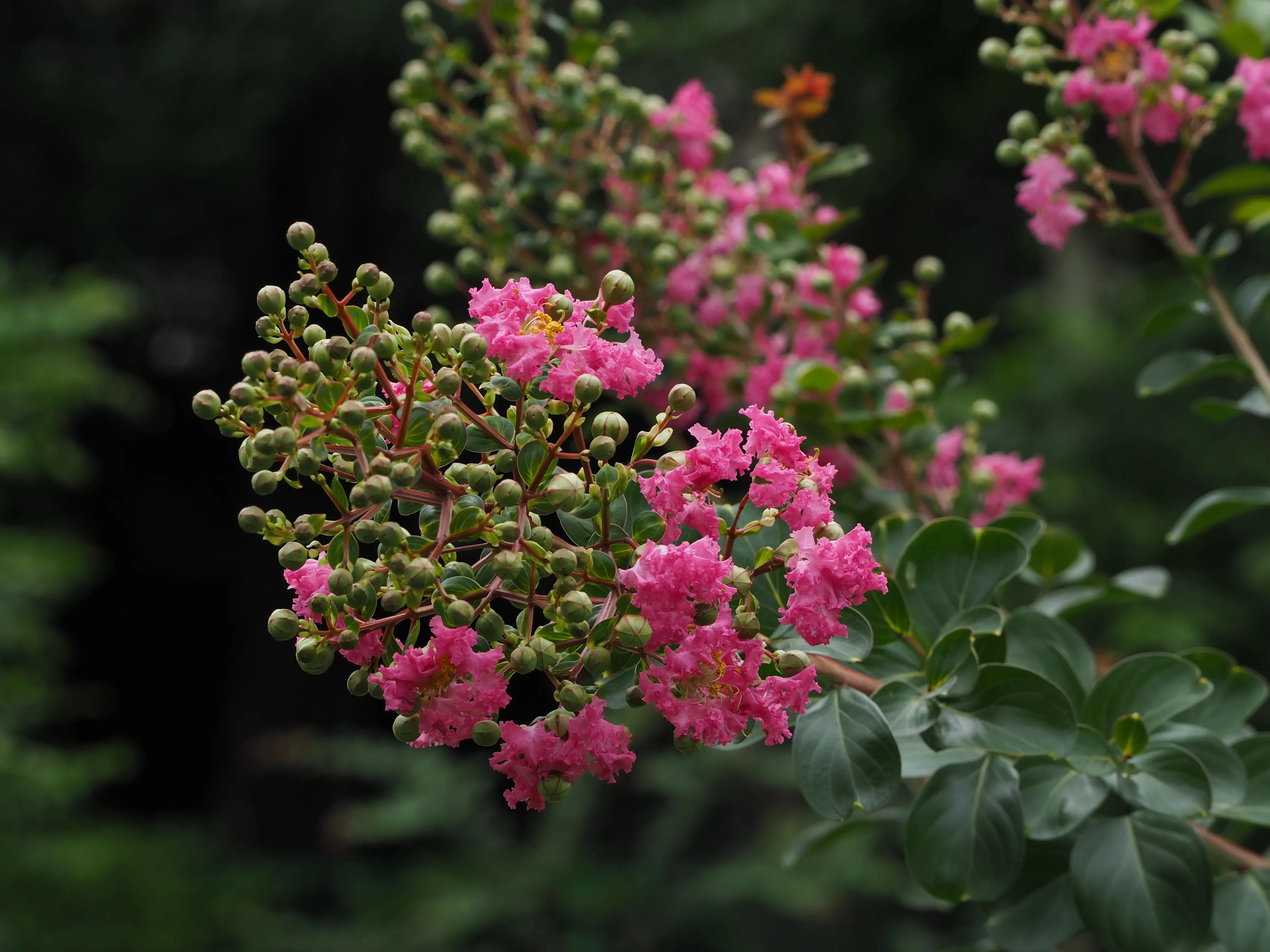 五一假期，O记实录