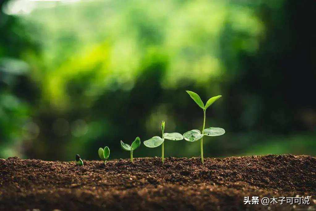 新冠由阳转阴的过程动画,一个新冠病人的康复自述