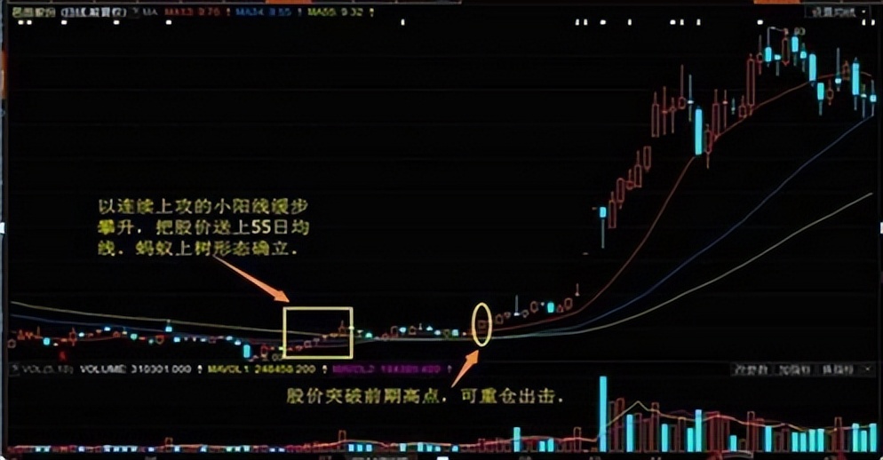 股市暴跌为啥散户炒股,散户炒股的基本认识和技巧