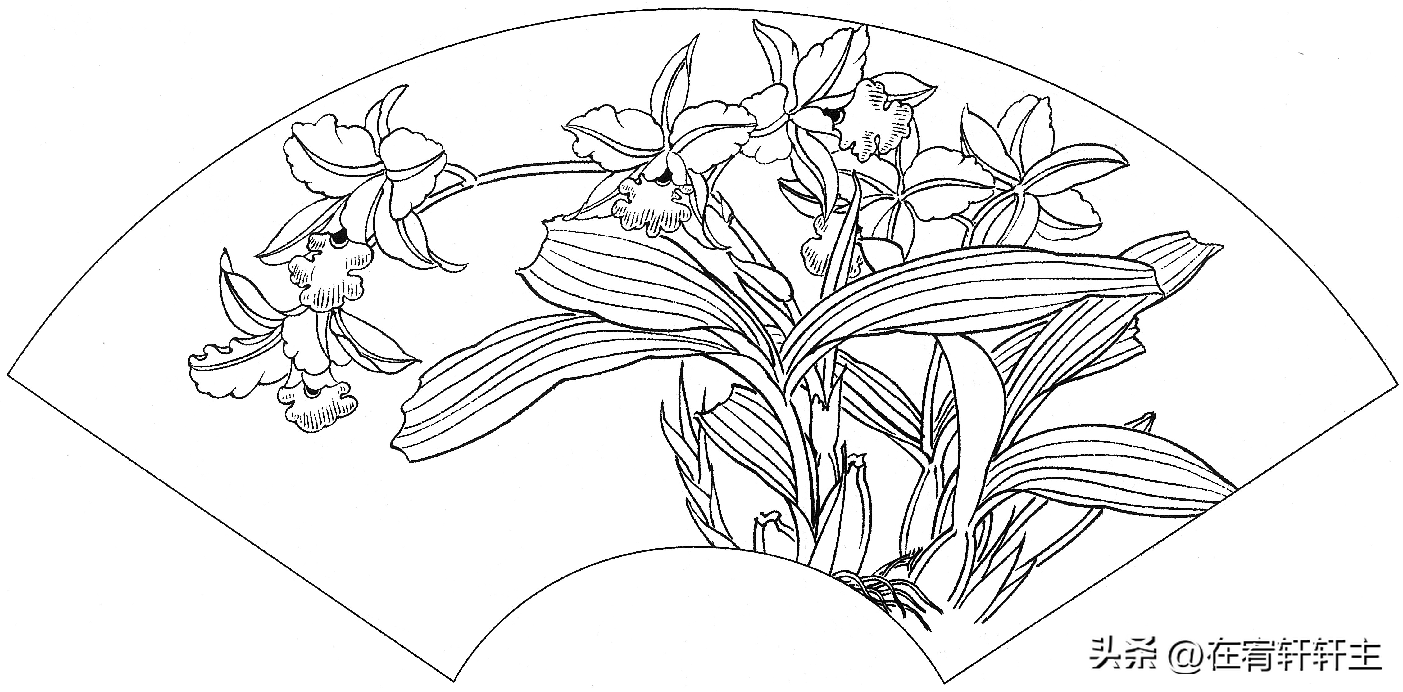 工笔白描祥云图案扇面,工笔扇面葡萄白描图片