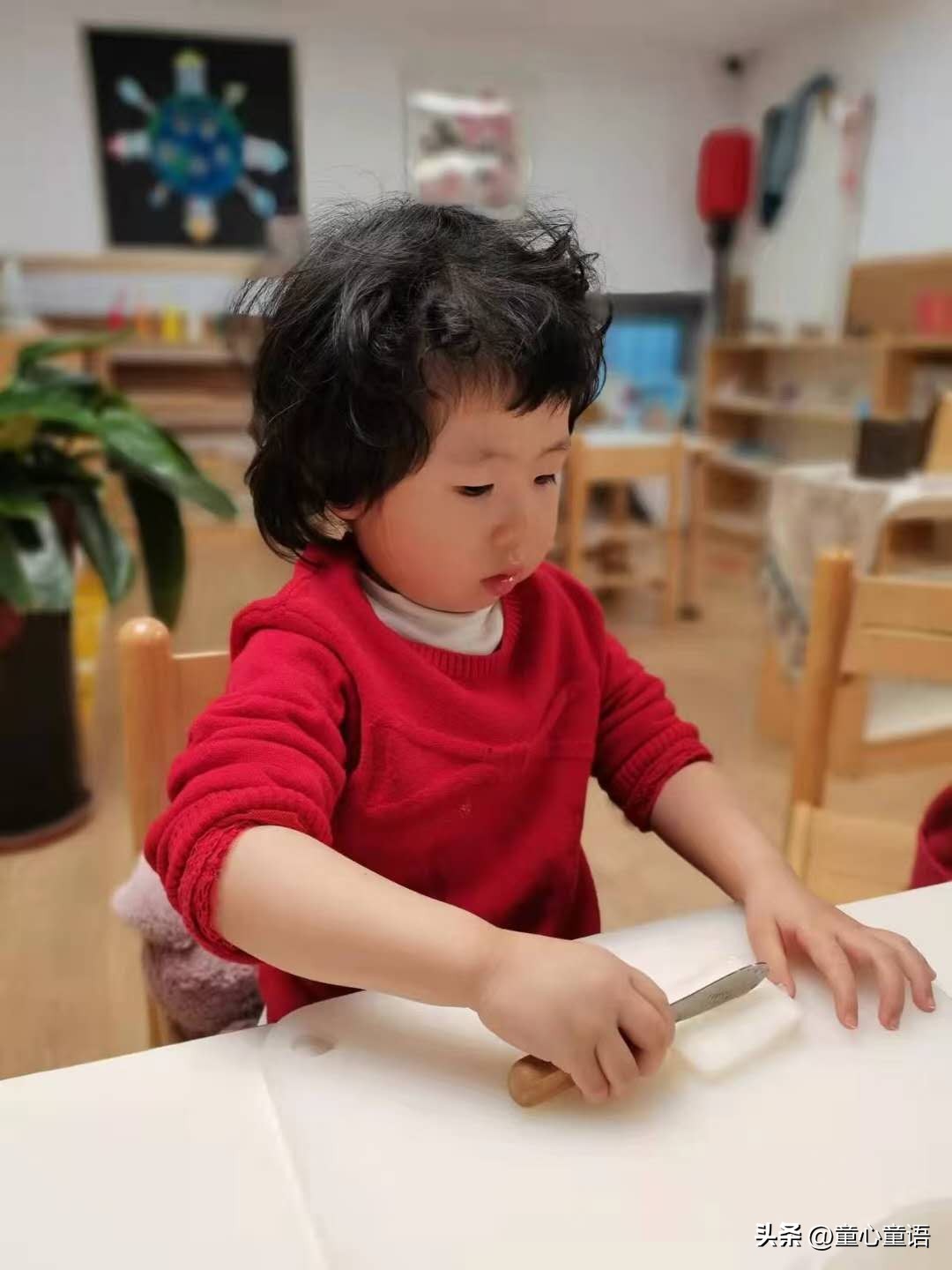 童心童语蒙特梭利,每日蒙台梭利育儿金句分享