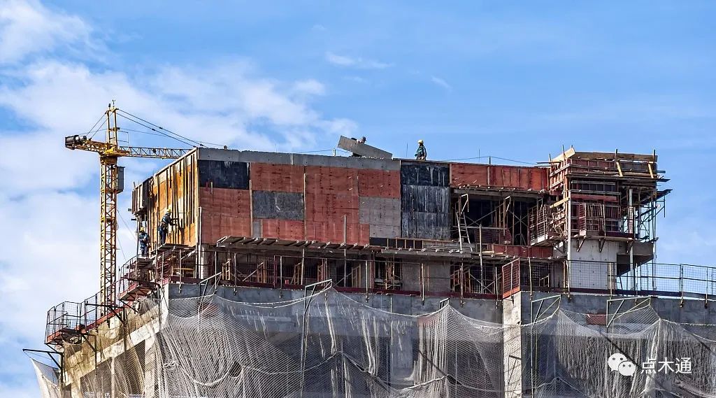 山东木材行情还会上涨吗,木材价格大幅下跌的原因