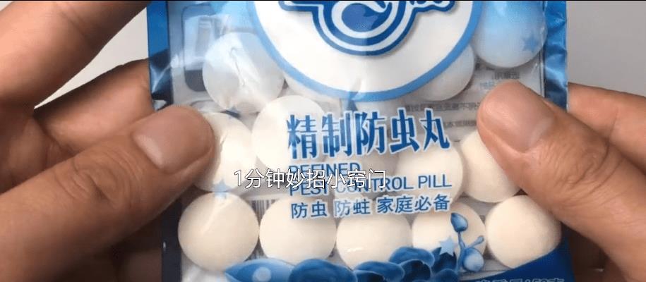 蚂蚁怎么消除无毒,蚂蚁正确消除方式