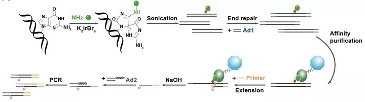 复旦科研成果有哪些,复旦7月科研成果上新科研速递