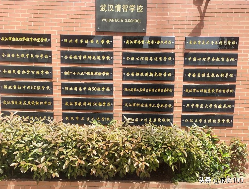 填报志愿可以冲两所高分学校吗,填报志愿冲的学校怎么选录取率高