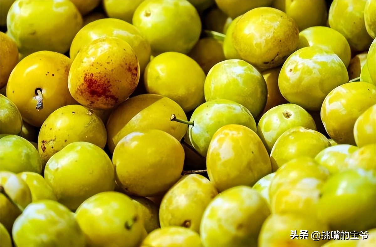 瑞士出产哪些水果,瑞士盛产啥水果