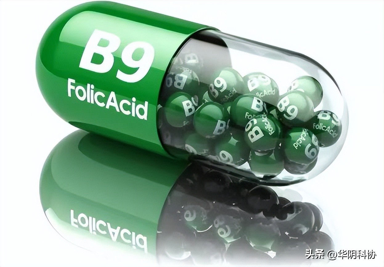 脊柱裂怀孕需要加倍吃叶酸吗,叶酸吃多了会脊柱裂吗