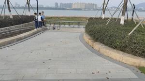 奥川手机三轴稳定器云台测评,奥川稳定器smartx和pro的区别