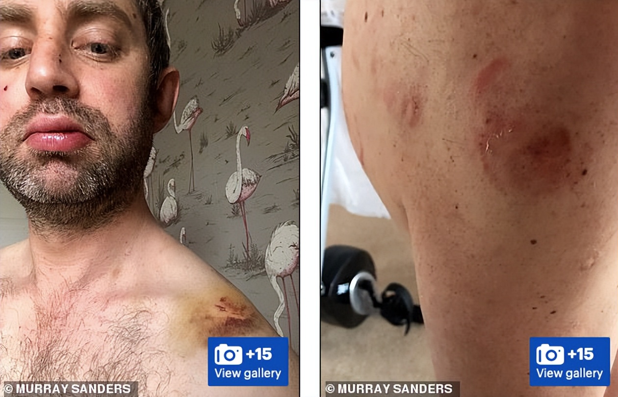 英国家暴真实案例,2017年英国家暴