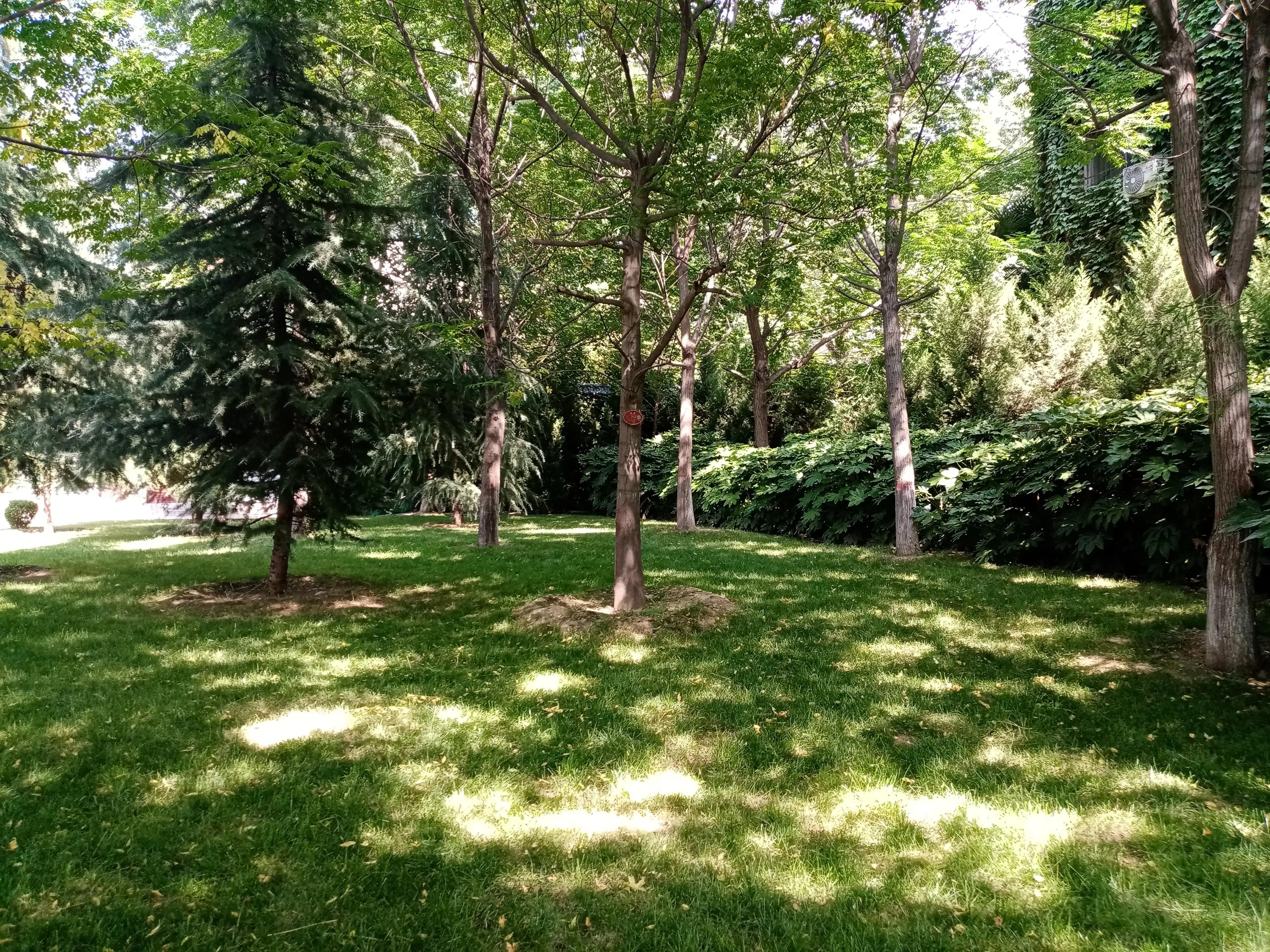 瑗垮畨鑾叉箹鍏洯鏈夋鑺卞悧,鑾叉箹鍖鸿幉婀栧叕鍥矾绾垮浘