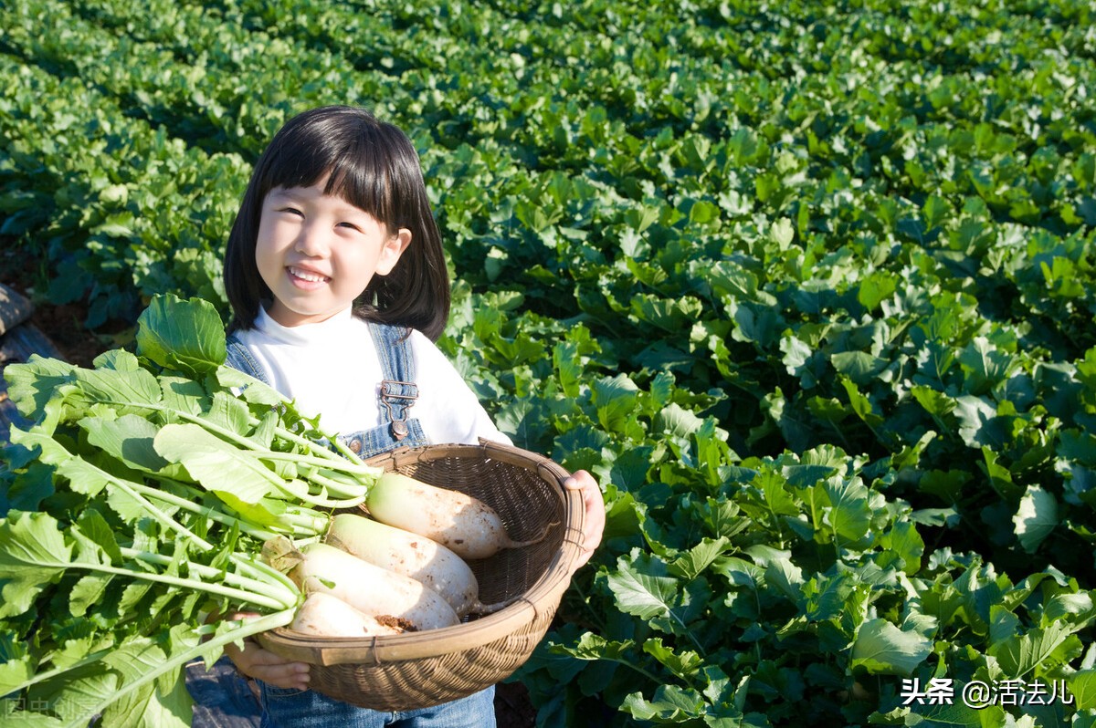 今日大雪这个节气吃点啥,今日大雪节气吃什么食物水果好
