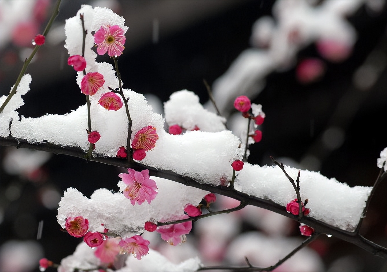 那些意境绝美的古诗词,豪放大气的10首诗词