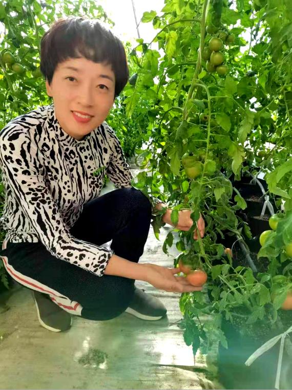 施足“金融底肥”，助力乡村振兴与高质量发展