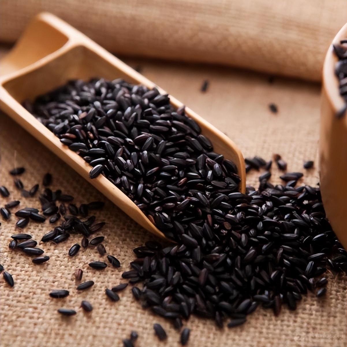 头皮上老是长脓包怎么回事,头皮上总是长疙瘩和脓包如何根治