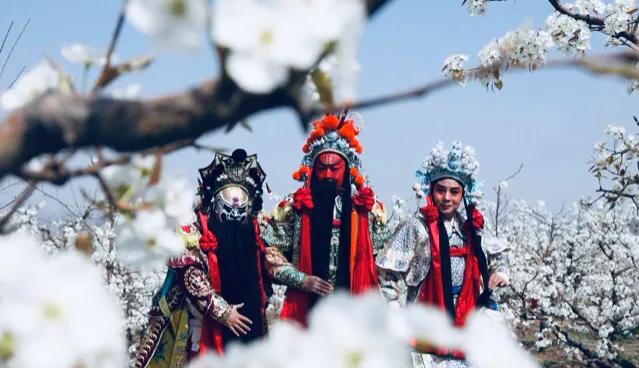 戏曲梨园由来是什么,我国古代对戏曲班子的别称