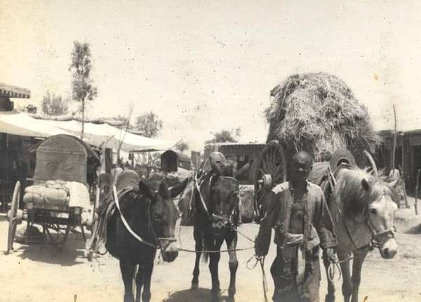 1935~1939年宁夏人口下降近3成，缺年轻男人，姑娘结婚和公鸡拜堂