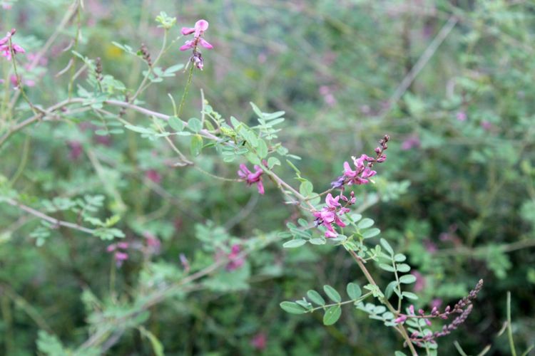 山东青州黄花溪景区图片,山东九寨沟黄花溪