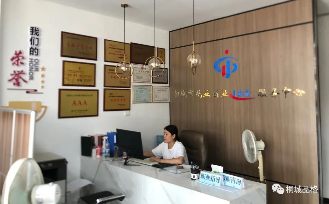 桐城纵横人力抖音,纵横人力桐城