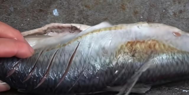 山东小伙3000元发家卖小吃,山东小哥摆摊