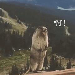 苹果8手机通话声音小的解决方法,手机通话声音小一招立马解决