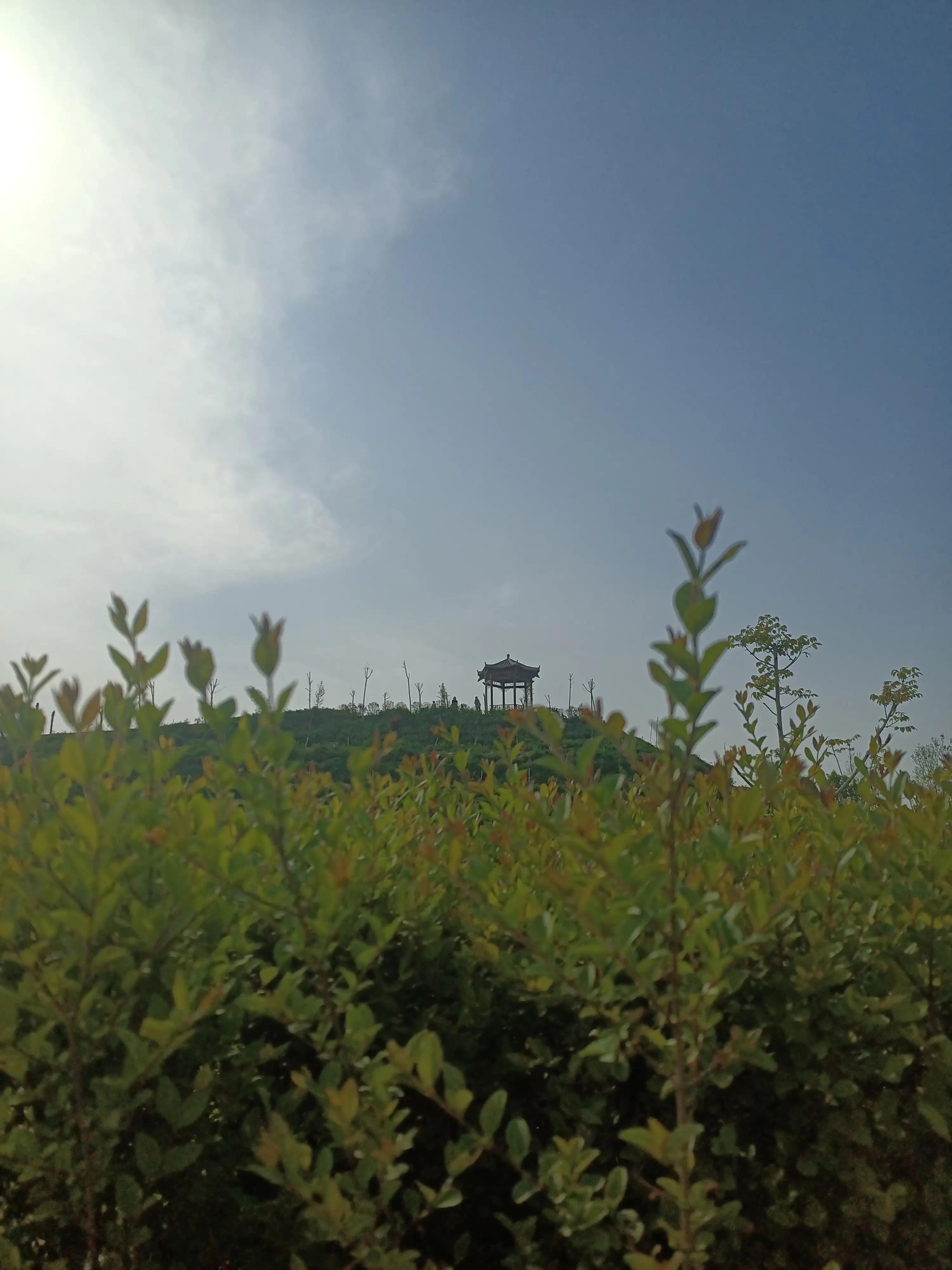 闲来无事荡秋千视频,山中荡秋千