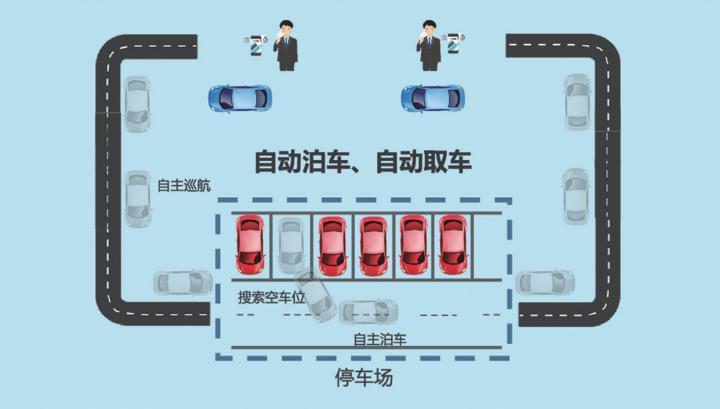 红绿灯引争议,红绿灯活动反思和评价