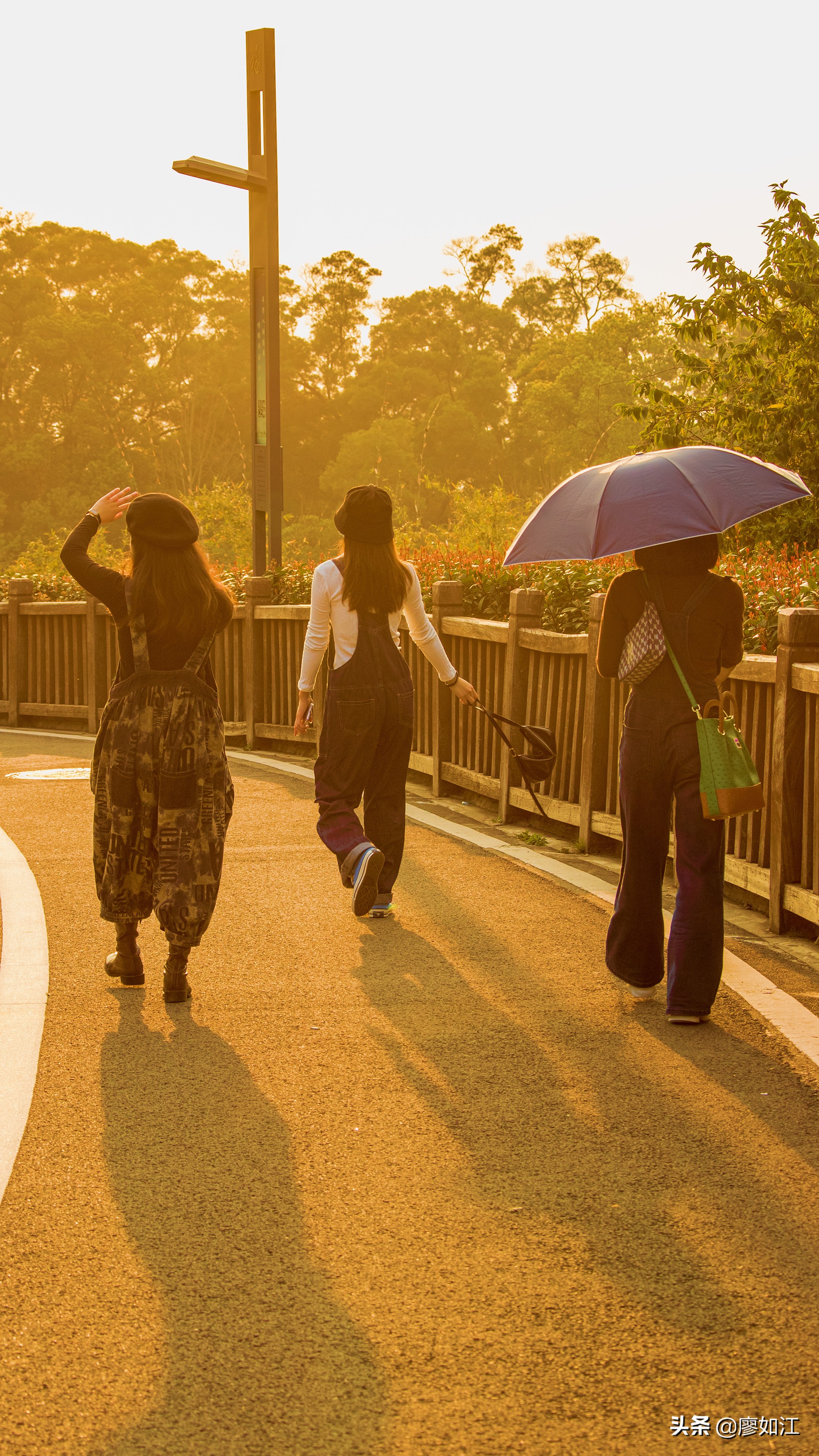 高盖山公园美篇,高盖山公园全景
