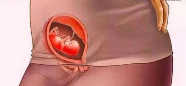母爱伟大！十张图带你看胎儿成长的壮丽过程
