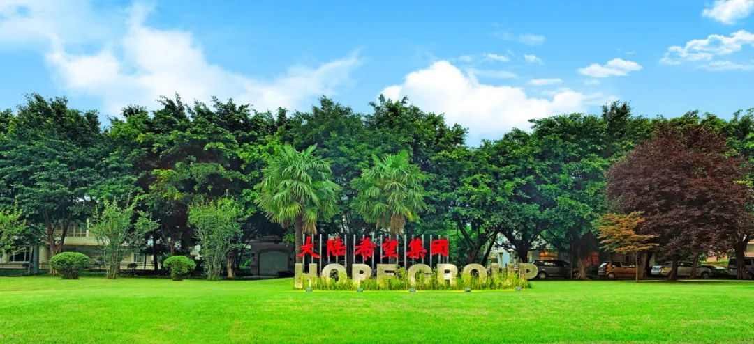 刘氏四兄弟创业史,四川刘氏兄弟怎么起家的