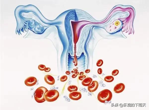 女儿第一次来月经作为妈妈的心情,女儿第一次来月经家长怎么说