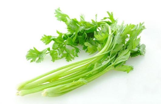 葫芦丝瓜做包子馅,黄瓜丝瓜可以做包子吗