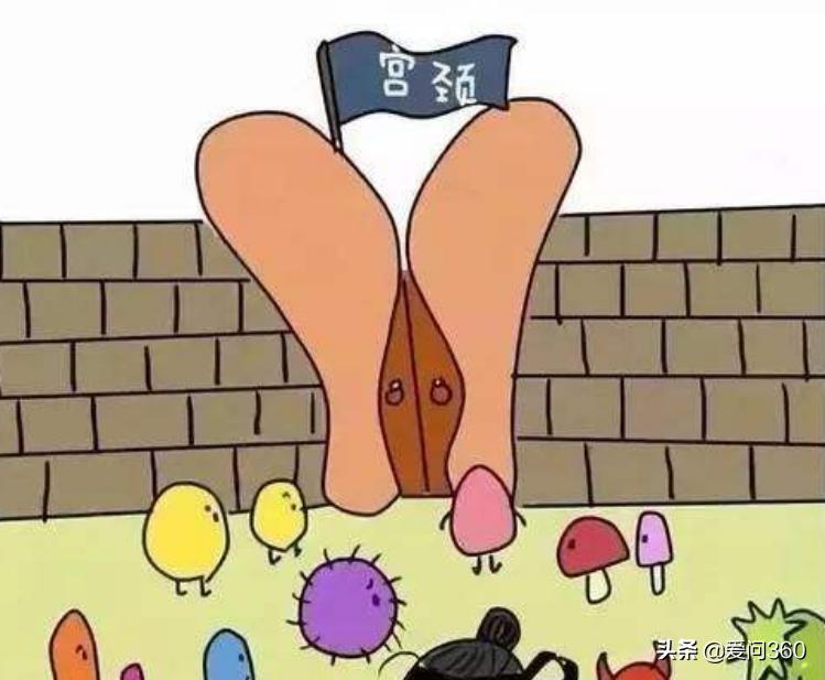 宫颈常见问题及预防有哪些,得了宫颈炎要注意什么呢