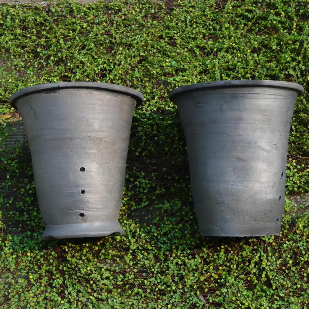 养兰仿紫砂专用塑料盆,紫砂兰适合哪种花盆