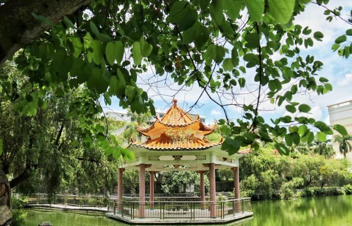 报考广东医科大学需要什么条件,广东医科大学提前批征集志愿2023