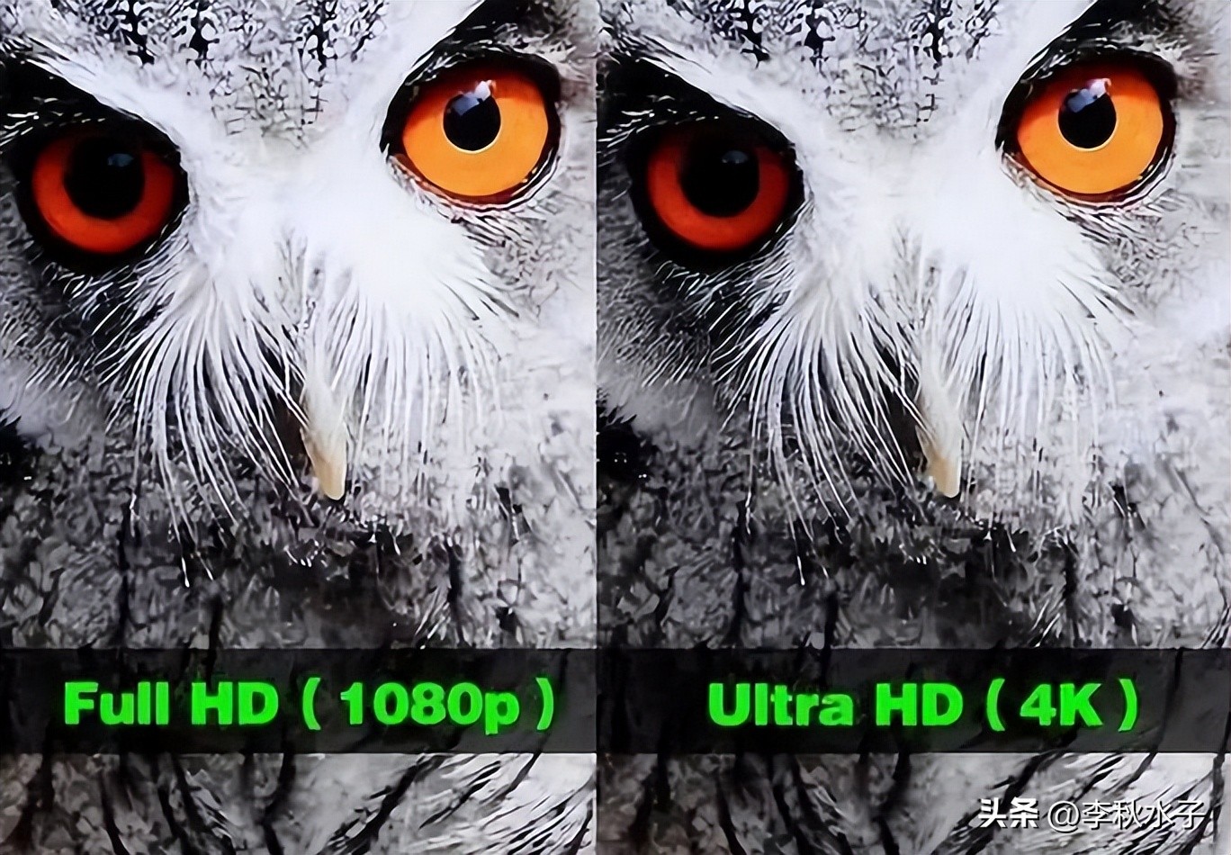 2024年最便宜的4k投影仪推荐,2023年原生4k投影仪