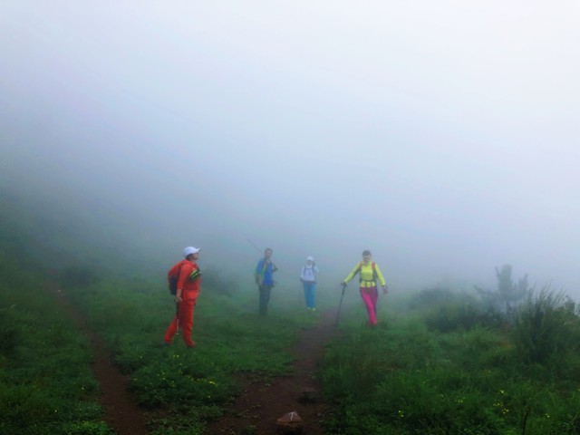 解决了“郁闷”,瘀堵就好了一大半!